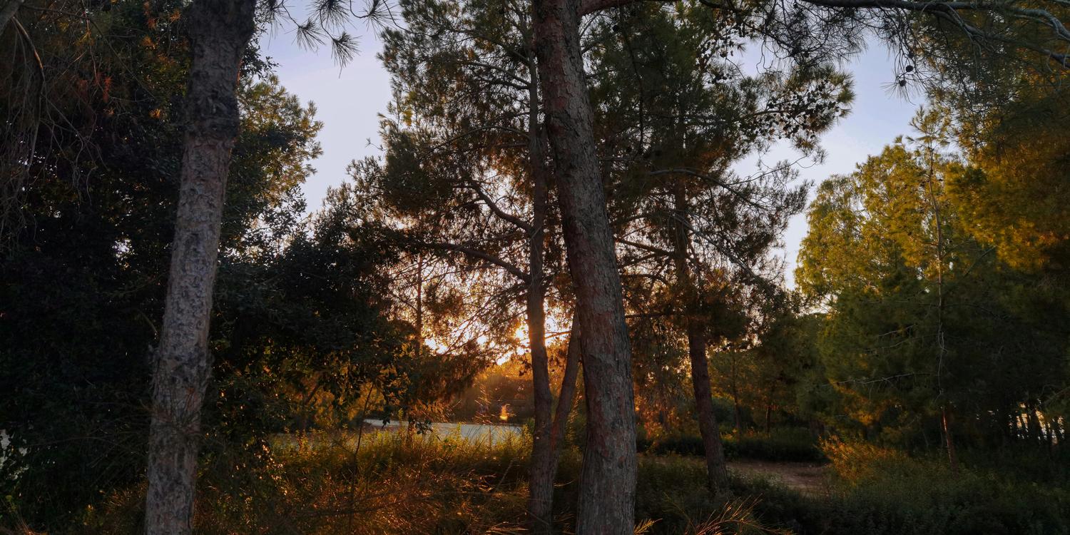 Cyprus